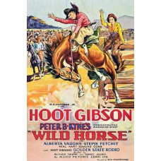 WILD HORSE   (1931)